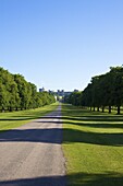 The Long Walk and Windsor Castle, Windsor, Berkshire, England, United Kingdom, Europe