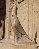 The Statue of Horus (the falcon god), at the Temple of Horus, Edfu, Egypt, North Africa, Africa