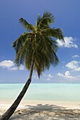 Bora-Bora, Leeward group, Society Islands, French Polynesia, Pacific Islands, Pacific