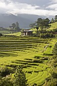 Punakha, Himalayas, Bhutan, Asia