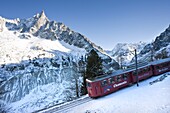 Chamonix, Chamonix-Mont-Blanc, Haute Savoie, French Alps, France, Europe