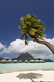 Pearl Beach Resort, Bora-Bora, Leeward group, Society Islands, French Polynesia, Pacific Islands, Pacific