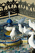 Pigeons at Plaza de America, Parque Maria Luisa, Seville, Andalusia, Spain, Europe