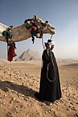 A Bedouin guide with his camel, overlooking the Pyramids of Giza, Cairo, Egypt, North Africa, Africa