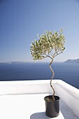 Santorini, Cyclades, Greek Islands, Greece, Europe