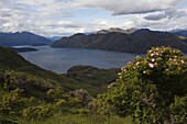 View of Lake Wanaka, 311m deep, from Mount Roy peak, Otago, South Island, New Zealand, Pacific