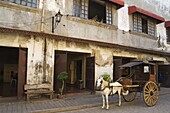 Horse and cart in Spanish Old Town, ancestral homes and colonial era mansions built by Chinese merchants, UNESCO World Heritage Site, Vigan, Ilocos Province, Luzon, Philippines, Southeast Asia, Asia