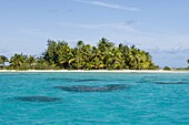 Tikehau, Tuamotu Archipelago, French Polynesia, Pacific Islands, Pacific