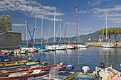 Boats in the harbour, Torre del Benaco, Lake Garda, Veneto, Italy, Europe