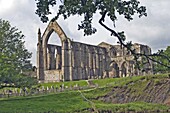 Bolton Abbey, Wharfedale, Yorkshire Dales National Park, Yorkshire, England, United Kingdom, Europe