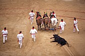 End of the bullfight, Plaza de Toros, San Fermin festival, Pamplona, Navarra, Euskadi, Spain, Europe