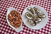 Close up of shrimps and oysters on check tablecloth, Boracay, Aklan, Philippines, Southeast Asia, Asia