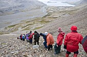 Walking toward Stromness Bay, South Georgia, South Atlantic