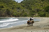Horses on beach at Punta Islita, Nicoya Pennisula, Pacific Coast, Costa Rica, Central America