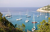 Sailboats in the harbour at Lakka, Paxos, Ionian Islands, Greek Islands, Greece, Europe