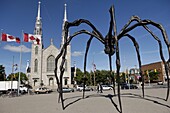 Maman a 21st century bronze sculpture of a spider, 9.25m high with a sac of 26 eggs, by Louis Bourgeois, in front of the Cathedral and Basilica of Notre Dame built between 1839 and 1885, Ottawa, Ontario, Canada, North America