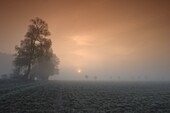 Autumn impression, Luebbecke, Germany, Europe