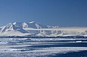 Pack ice, Weddell Sea, Antarctic Peninsula, Antarctica, Polar Regions