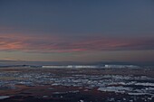 Iceberg and pack ice, Weddell Sea, Antarctic Peninsula, Antarctica, Polar Regions