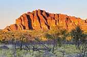 The Domes, Bungle Bungle, Purnululu National Park, UNESCO World Heritage Site, Kimberley, Western Australia, Australia, Pacific