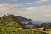 Coastline, Bay of Islands, North Island, New Zealand, Pacific