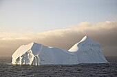Icebergs at dawn off Laurie Island, South Orkney Islands, Polar Regions
