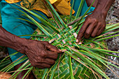 Hands weaving basket from Pandanus leaves, Nendo Island, Santa Cruz Islands, Solomon Islands, South Pacific