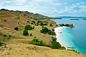 Overhead of Pink Beach with people swimming, Komodo, Indonesia, Asia