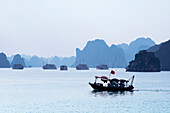 Fishing boat, sightseeing excursion boats and Ha Long Bay islands, Ha Long Bay, Quang Ninh Province, Vietnam, Asia