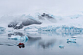 Fahrt entlang Eisschollen mit Zodiac Schlauchboot von Expeditions-Kreuzfahrtschiff MS Hanseatic (Hapag-Lloyd Kreuzfahrten), Paradise Bay (Paradise Harbor), Danco-Küste, Graham Land, Antarktis