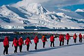 Passagiere von Expeditions-Kreuzfahrtschiff MS Hanseatic (Hapag-Lloyd Kreuzfahrten) trekken von Anlandungspunkt am Strand zur argentinischen Forschungsstation Camara, Half Moon Island, Südshetland-Inseln, Antarktis