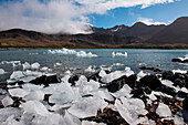 Strangely formed ice chunks line the beach, Jason Harbour, South Georgia Island, Antarctica