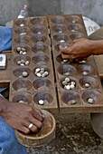 Men playing Kalah (Kalaha) (Mancala), a game in the mancala family, Moroni, Grand Comore, Comoros, Indian Ocean, Africa