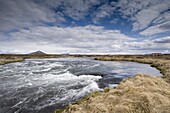 River Laxa flowing out of Lake Myvatn, Skutustaoir near Reykjahlid, Iceland, Polar Regions