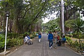 Company gardens, Port Louis, Mauritius, Indian Ocean, Africa