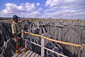 Guide pointing at the Coral formations, Tsingy de Bemaraha, UNESCO World Heritage Site, Madagascar, Africa