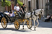 Tourists in horsedrawn cart, Seville, Andalucia, Spain, Europe
