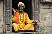 Portrait of Sadhu, Pashupatinath temple, UNESCO World Heritage Site, Kathmandu, Nepal, Asia