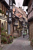 A street with traditional half-timbered houses in the charming village of  Eguisheim, Alsatian Wine Road, Haut Rhin, Alsace, France, Europe
