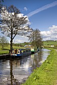 Narrowboats moored on the Monmouthshire and Brecon Canal near Pencelli, Brecon Beacons National Park, Powys, Wales, United Kingdom, Europe