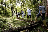 Trekking through the forest, Gavi, Thekkady, Kerala, India, Asia