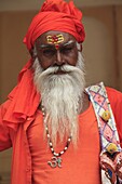 Sadhu (holy man), Jaipur, Rajasthan, India, Asia