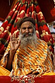 Sadhu procession during Haridwar Kumbh Mela, Haridwar, Uttarakhand, India, Asia