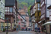 The Historic town of Miltenberg, Franconia, Bavaria, Germany, Europe