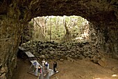 Archway Cave, segment of very large lava cave, Undara Lava Tubes National Park, Queensland, Australia, Pacific