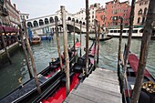 Gondolas line the Grand Canal beside the Rialto Bridge, Venice, UNESCO World Heritage Site, Veneto, Italy, Europe