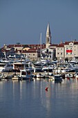 Budva harbour, Montenegro, Europe