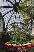 Botanical Building, Balboa Park, San Diego, California, United States of America, North America