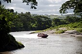 Sigatoka River Safari, Viti Levu, Fiji, Melanesia, Oceania, Pacific Islands, Pacific