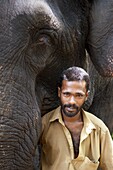 Elephant with Mahoot, Kerala, India, Asia